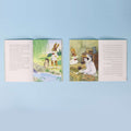 The Rabbit Writer: Doctor Sheep – Arabic and English editions open to show inside pages