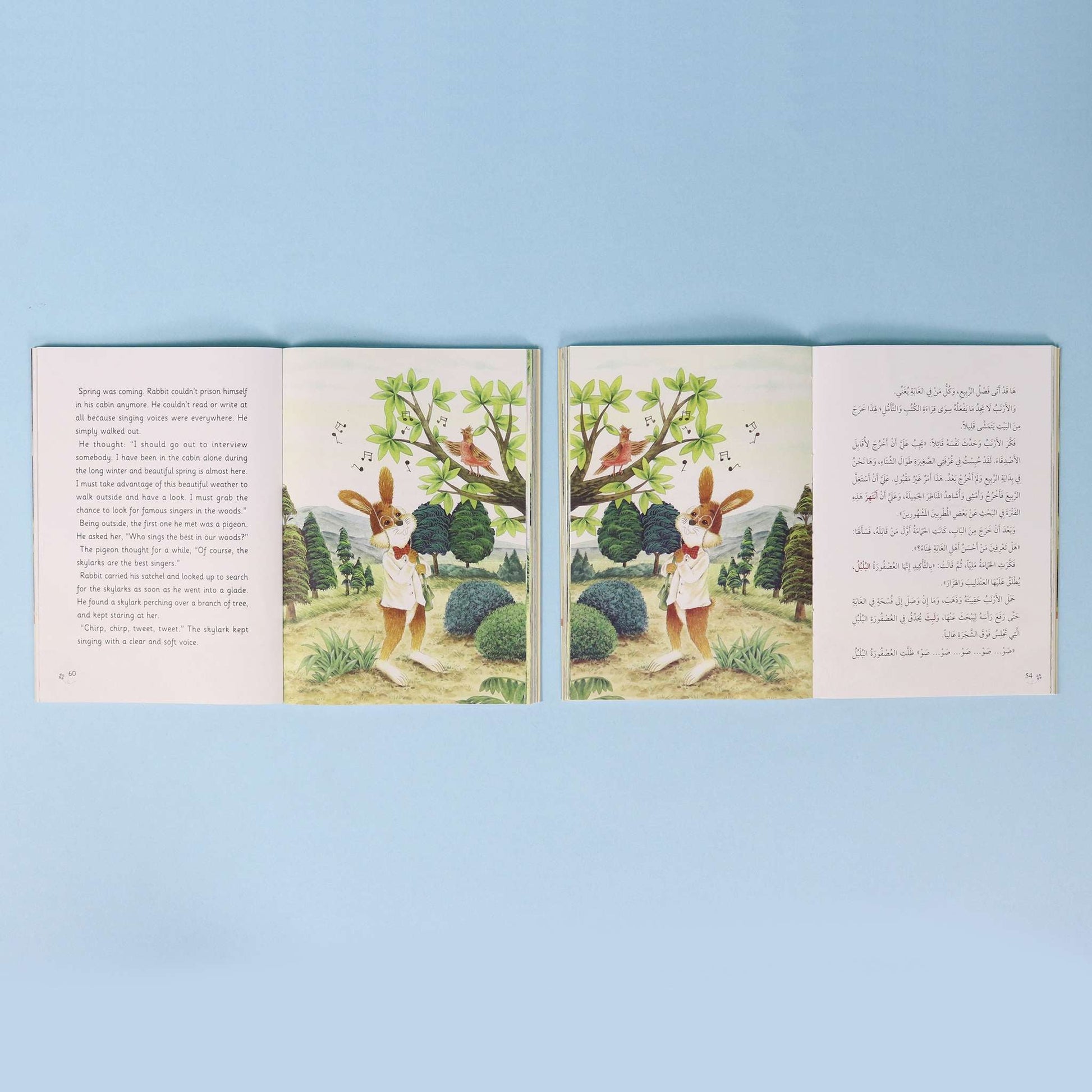 The Rabbit Writer: Queen Cat Memories – Arabic and English editions open to show inside pages