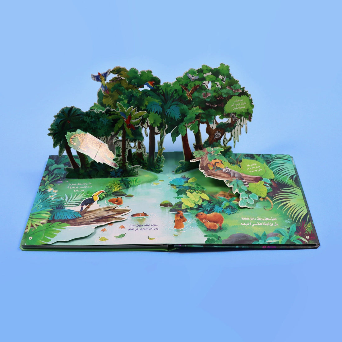كتاب مملكة الحيوان الغابة كتاب أطفال تعليمي يعرّف بحيوانات الغابة وطريقة عيشها