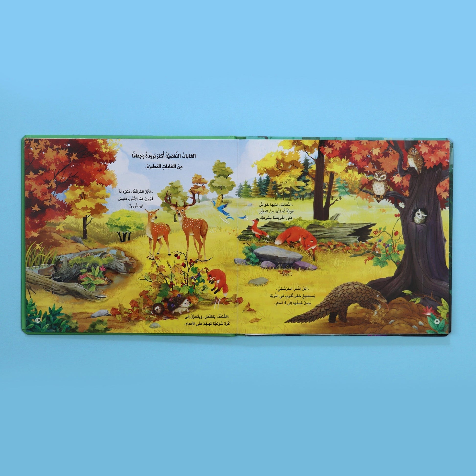 صفحات 2 من كتاب مملكة الحيوان الغابة كتاب أطفال تعليمي يعرّف بحيوانات الغابة وطريقة عيشها