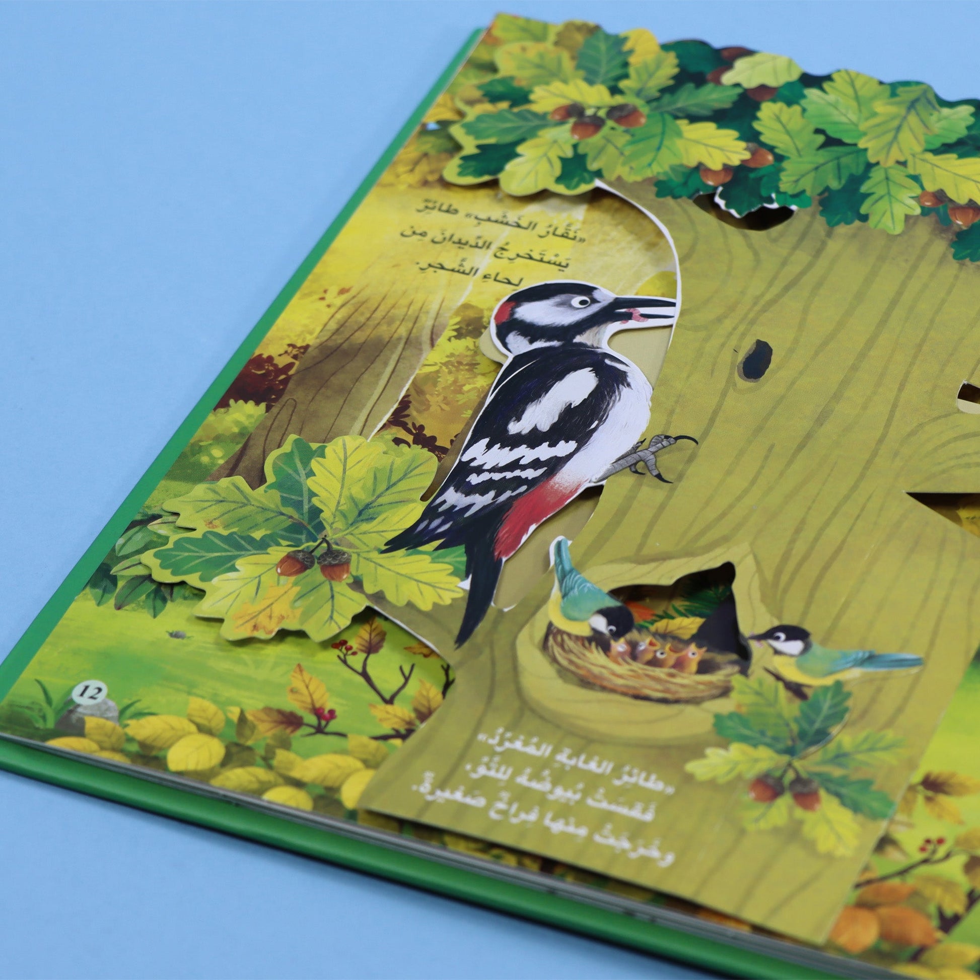 صفحات 3 من كتاب مملكة الحيوان الغابة كتاب أطفال تعليمي يعرّف بحيوانات الغابة وطريقة عيشها