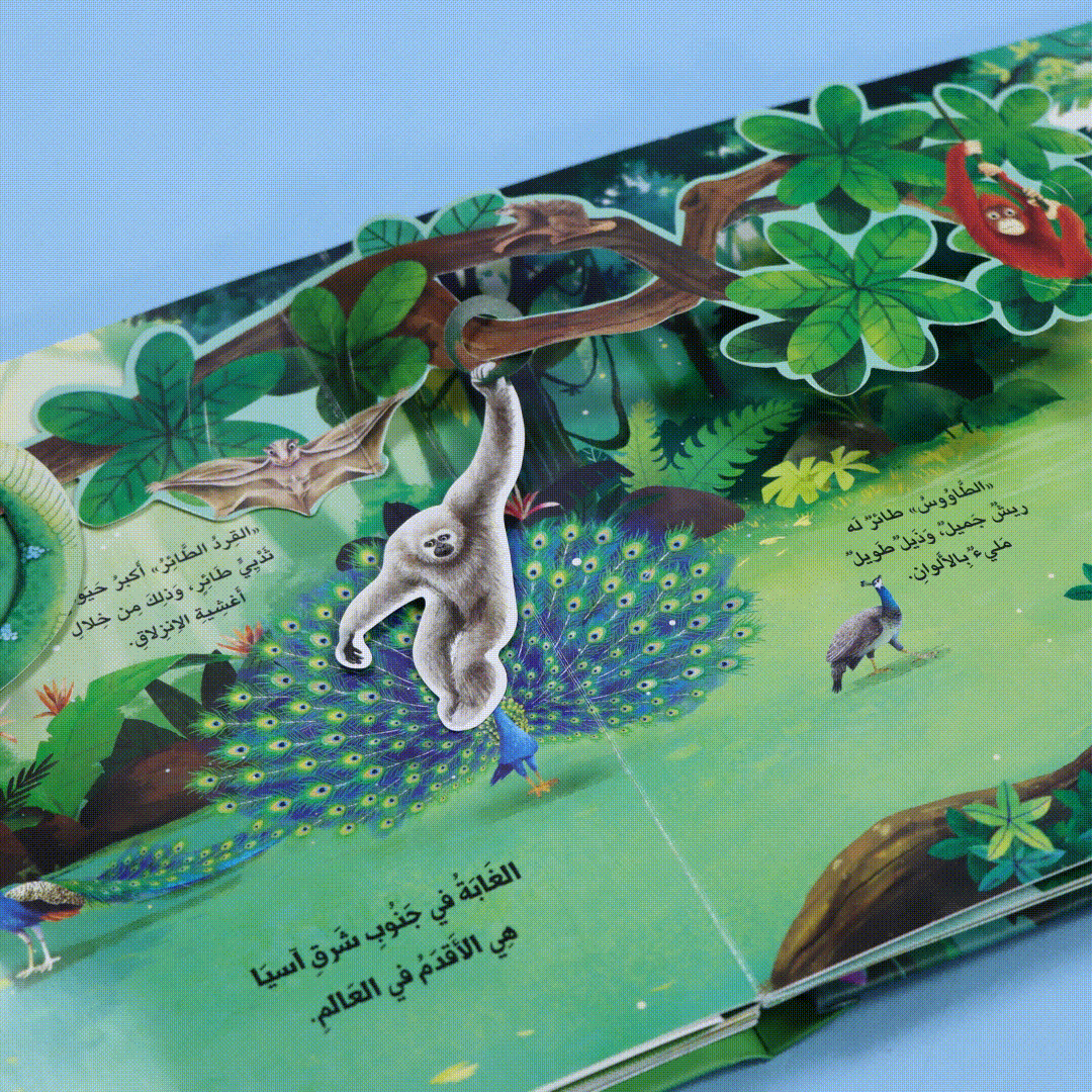 صفحات 4 من كتاب مملكة الحيوان الغابة كتاب أطفال تعليمي يعرّف بحيوانات الغابة وطريقة عيشها