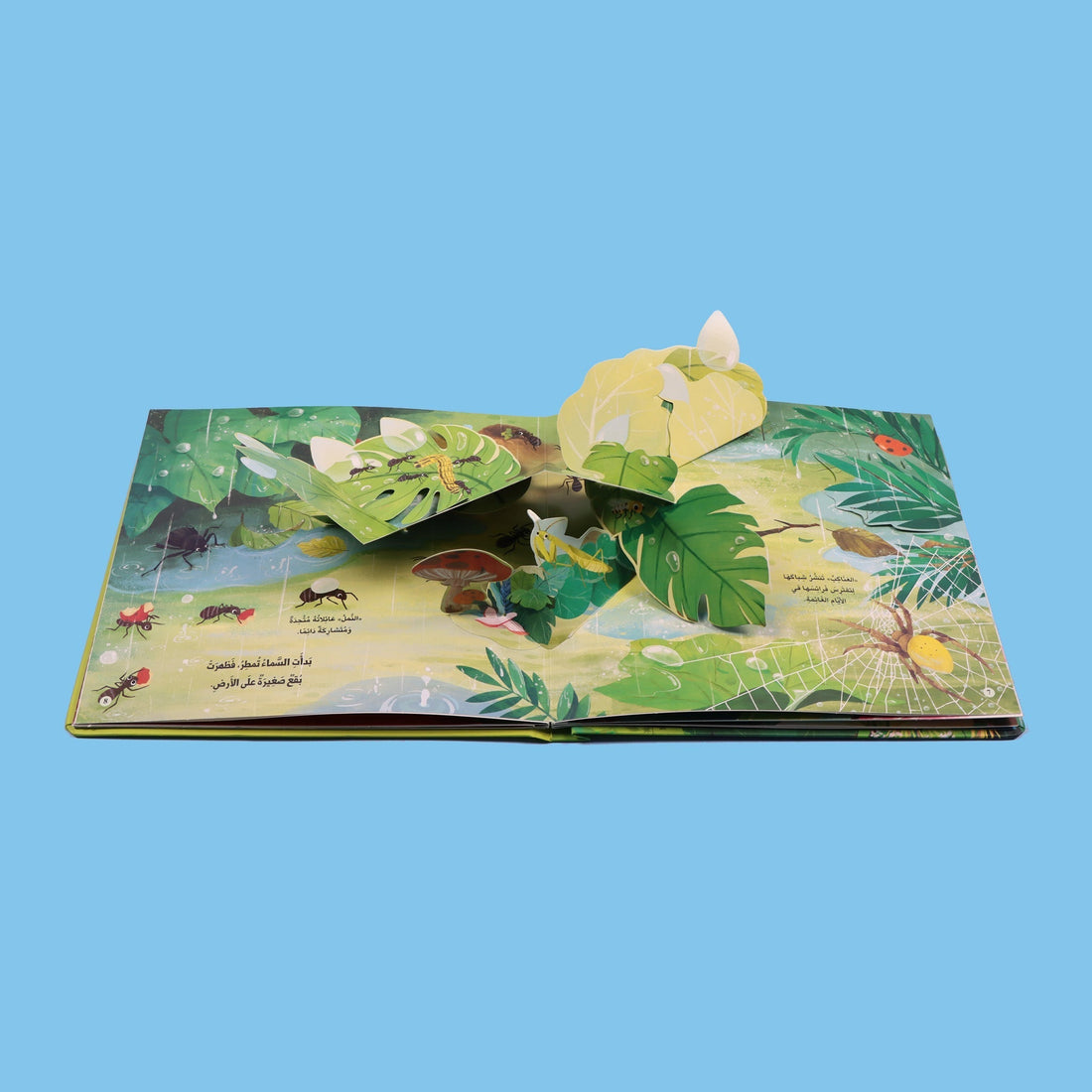 كتاب مملكة الحيوان الحشرات كتاب أطفال تعليمي ثلاثي الأيعاد يعرّف بعالم الحشرات وطريقة حياتها